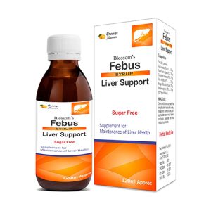 Febus Syrup120ml