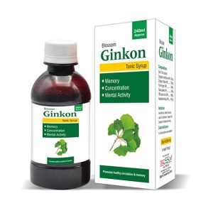 Ginkon Syrup 240ml
