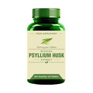 Psyllium Husk – Concentrated Botanical Fiber