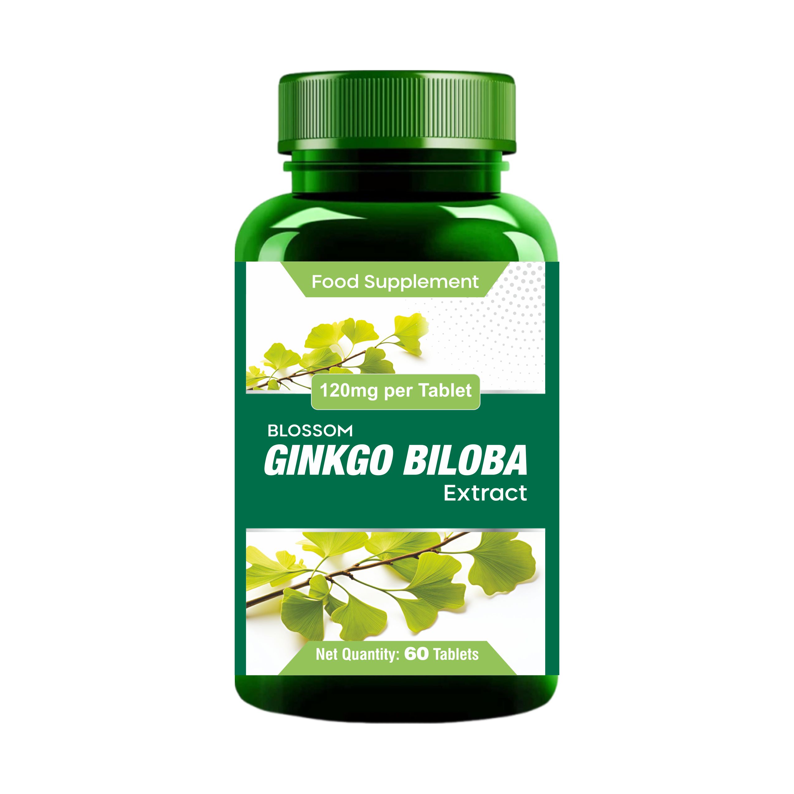 Ginkgo Biloba